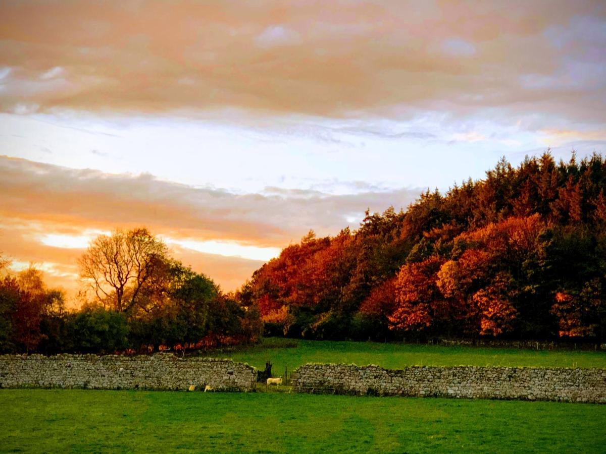 Bruxie Holiday Cottages - Honeysuckle Cottage Maud 外观 照片